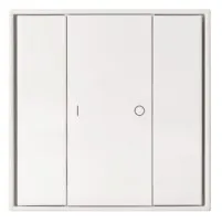 Кнопочная панель DALI DT6/DT8 SR-2422NK2-DIM-G1-PL